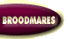 Broodmares