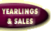 Yearlings & Sales
